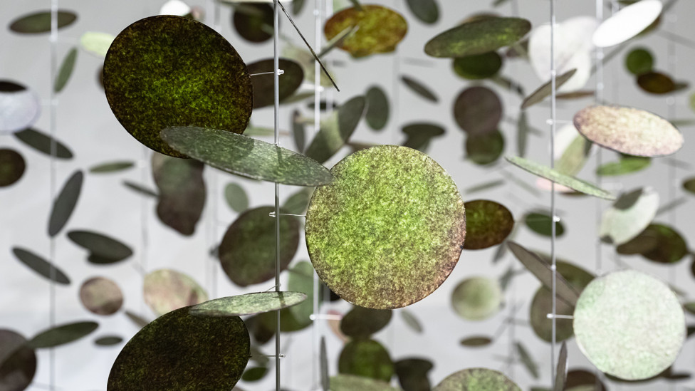 Коллектив we+ превращает водоросли в светящиеся инсталляции